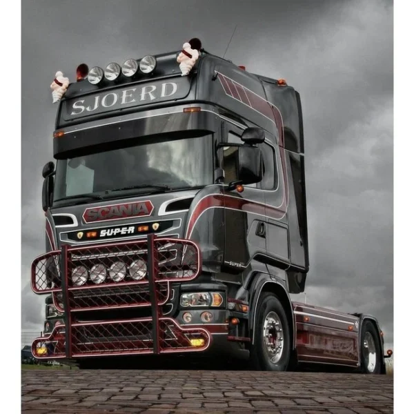 HYPRO | BULLBAR TYPE 1 SCANIA SERIE R - immagine 2
