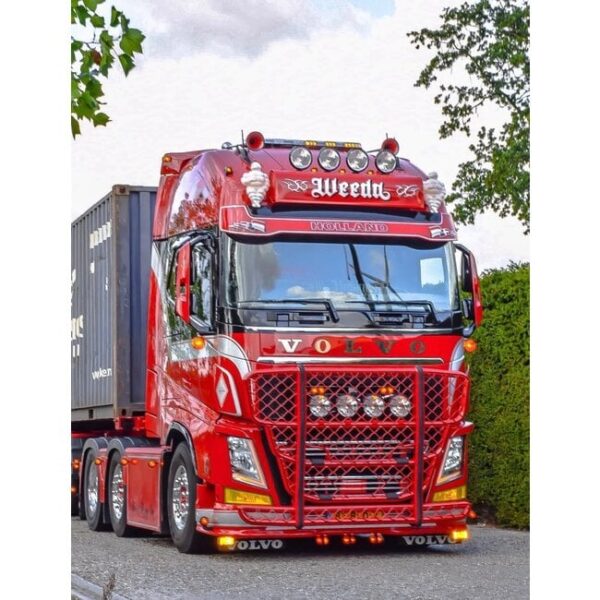 TRUX | BULLBAR VOLVO FH4/FH5 - immagine 4